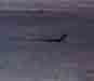 Lizard